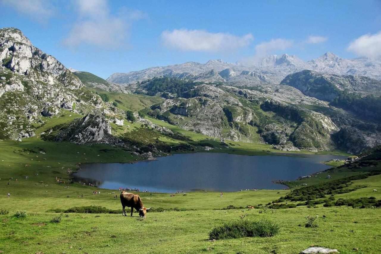 Casa Rural La Carrozal Senda Del Oso Orelleiru Kültér fotó