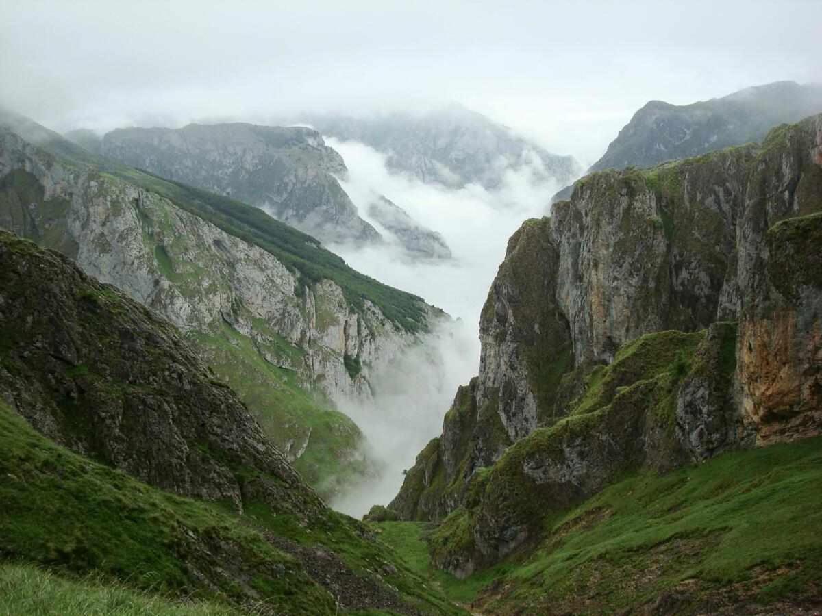 Casa Rural La Carrozal Senda Del Oso Orelleiru Kültér fotó