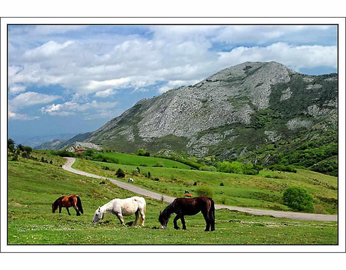 Casa Rural La Carrozal Senda Del Oso Orelleiru Kültér fotó